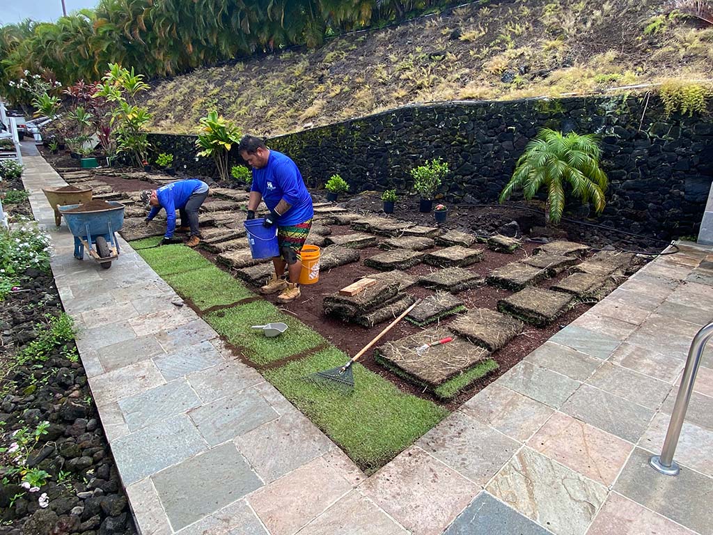 Kailua-Kona Turf Installation Service | Kailua-Kona Turf Installers | Hawaii Landscaping