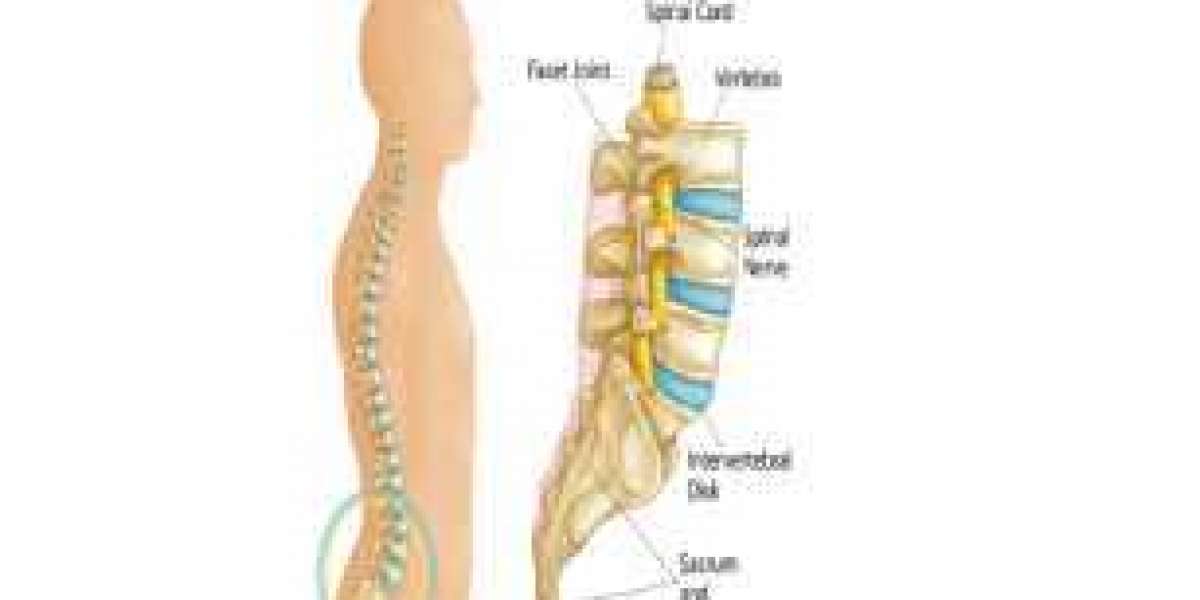 Best spine surgeons in Delhi with affordable prices