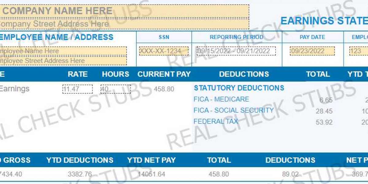CREATE YOUR OWN PAYCHECK STUB BELOW IN LESS THAN ONE MINUTE!