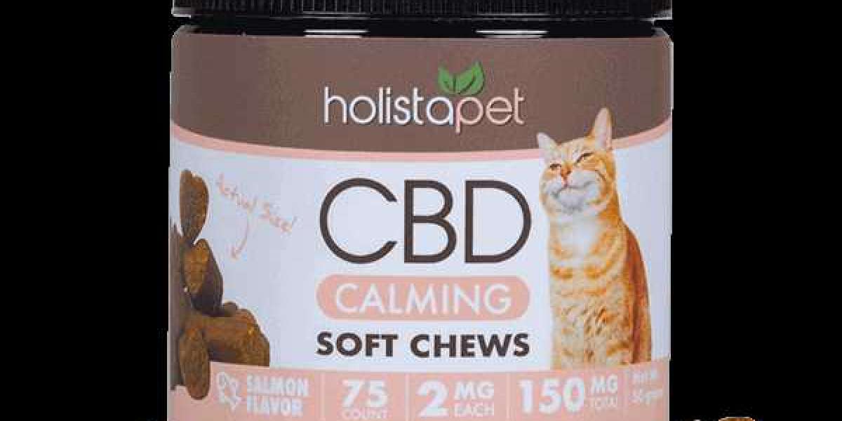 Gain Huge Success With CBD Calming Chews For Cats