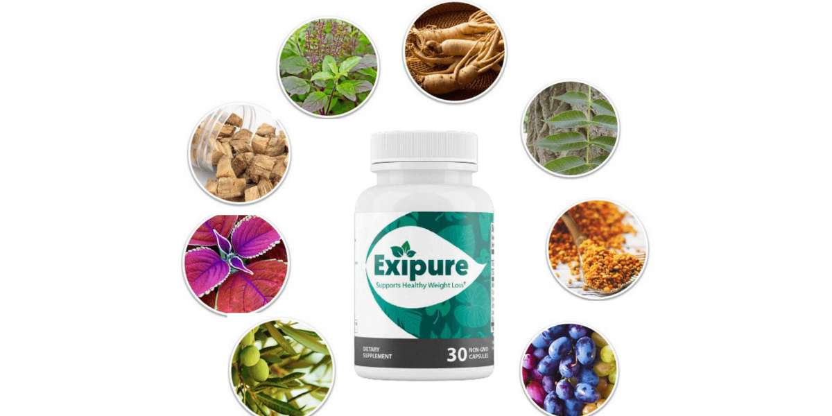 Exipure Reviews – Does This Weight Loss Pill Work?