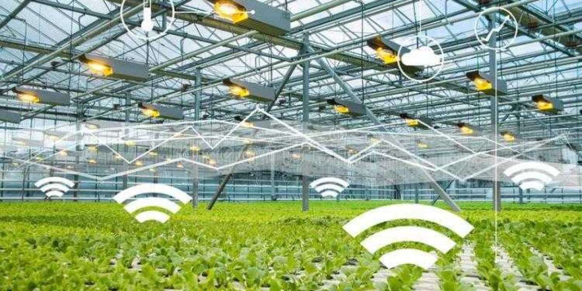 Unlocking the Potential of Smart Greenhouse: An In-Depth Look at the Market