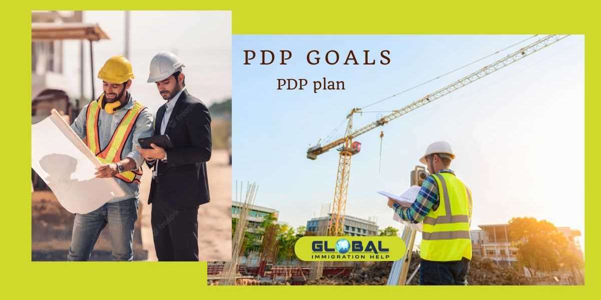 Why A Business Organization Needs PDP Goals
