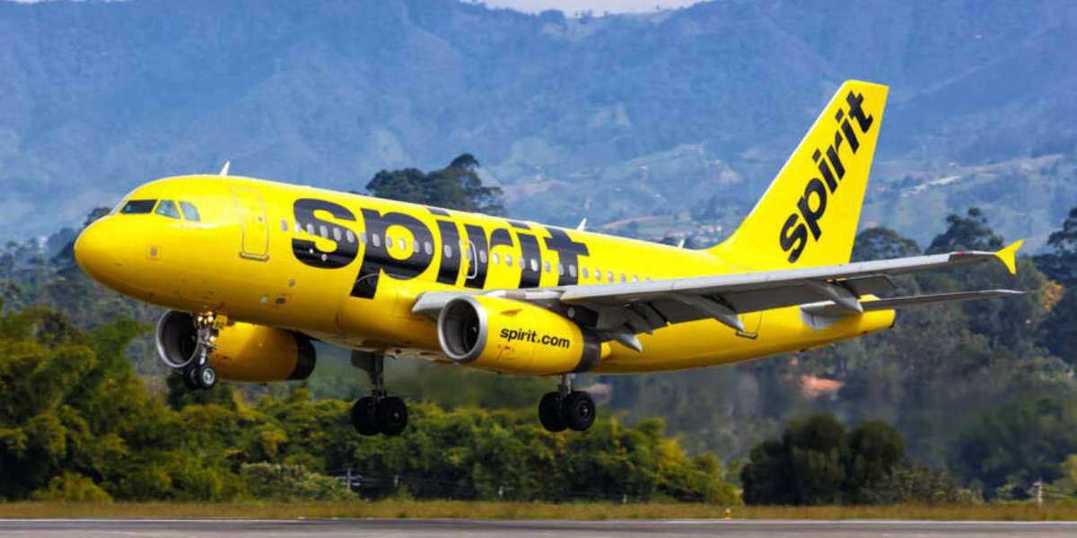 Spirit Airlines Flights