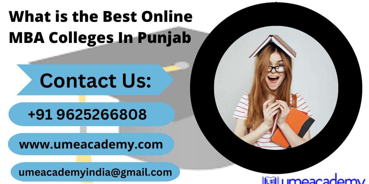 What is the Best Online MBA Colleges In Punjab