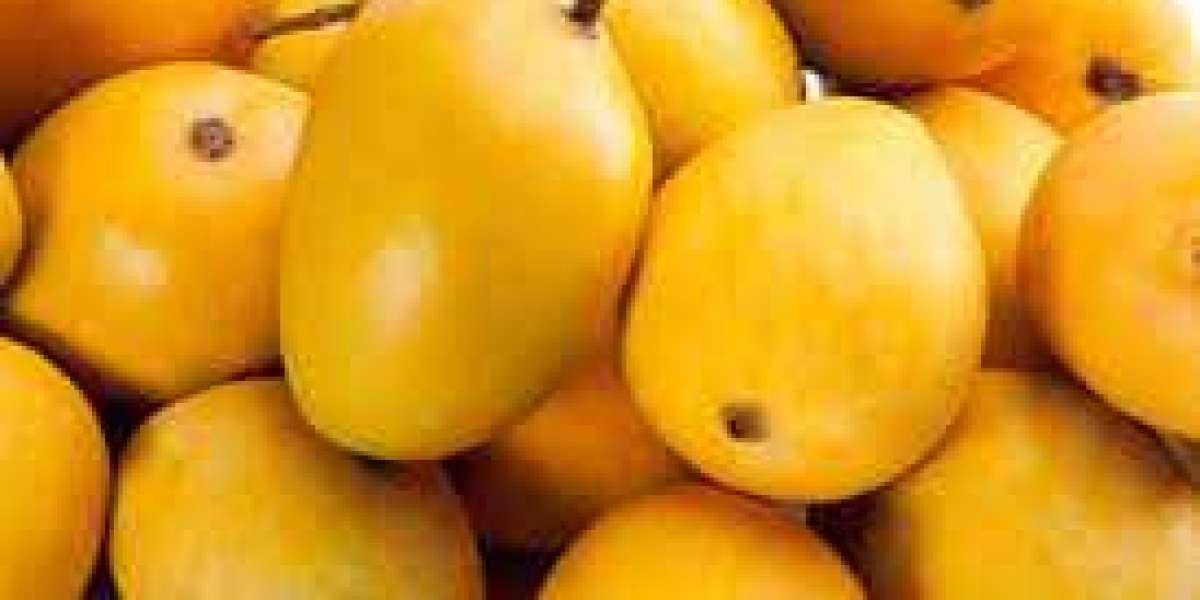 Price Forecasting of Mango