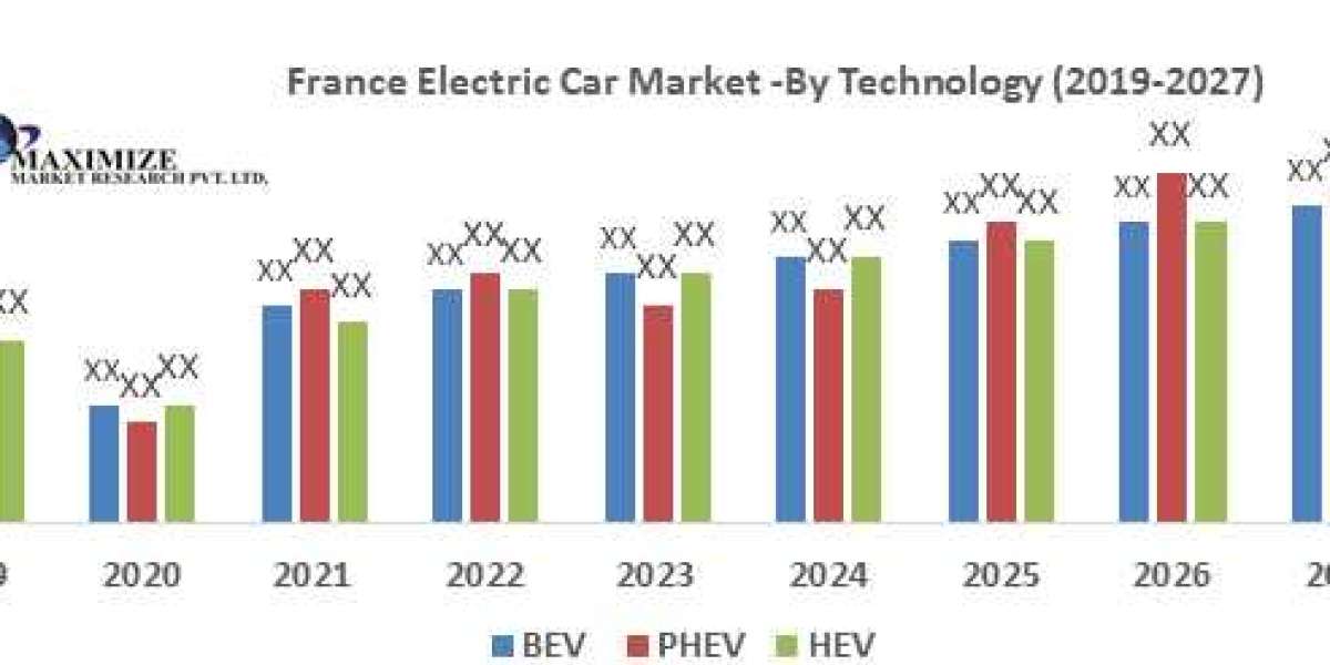 France Electric Car Market Top Countries Data, Industry Insights by Top Key Players, Types and Applications