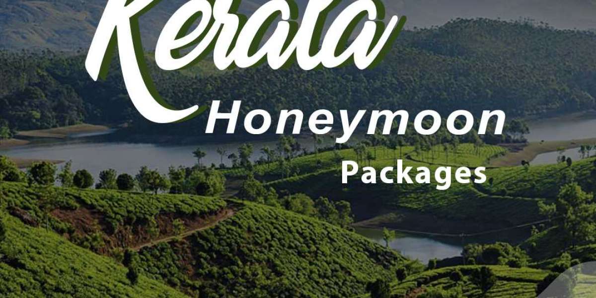 Make your dream vacation with Kerala Tour Package 9355533360