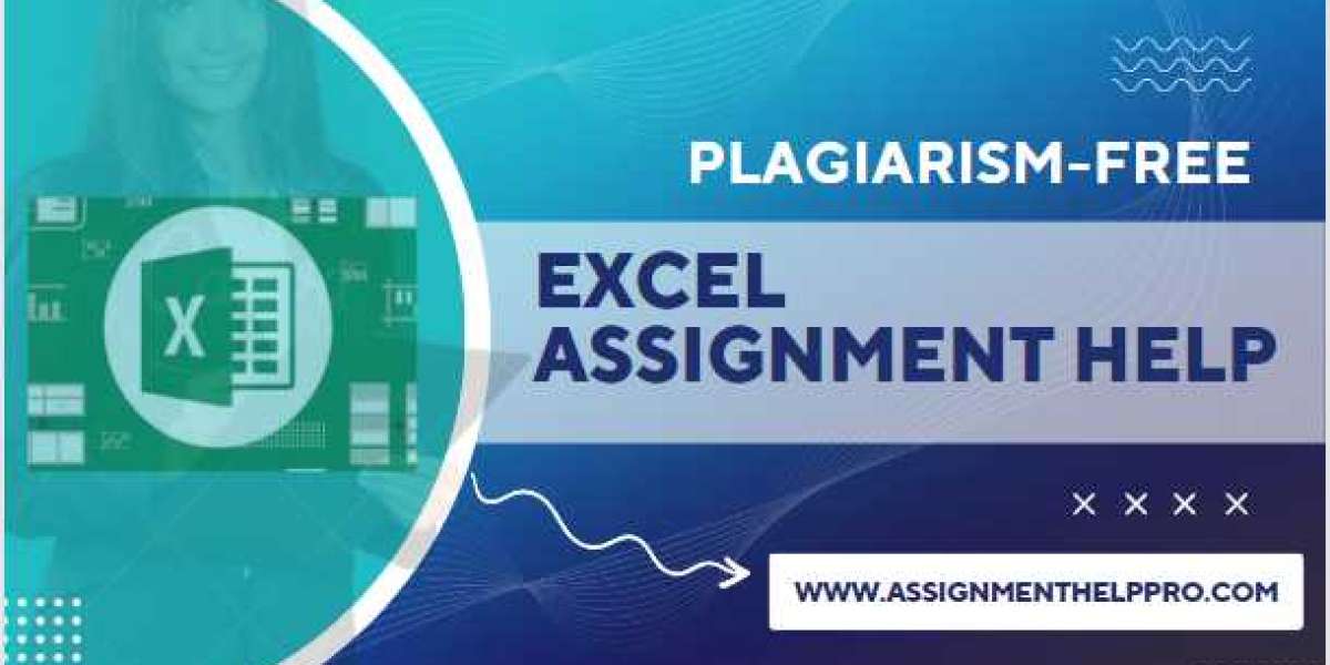 Get Online Excel Assignment Help Services in the USA