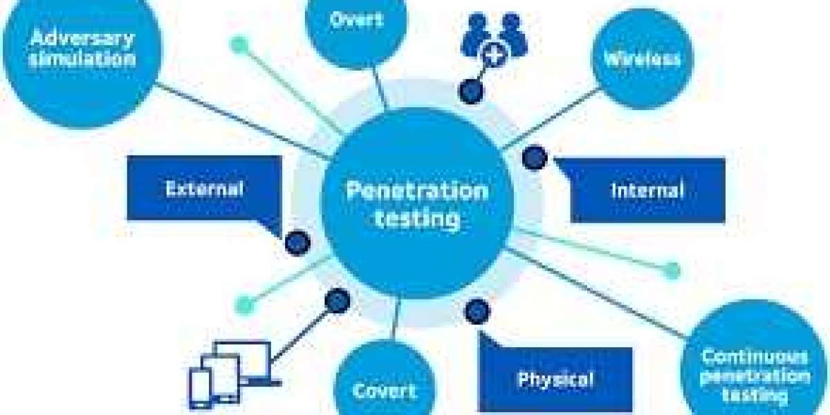 Understanding External Penetration Testing in the USA with Support305
