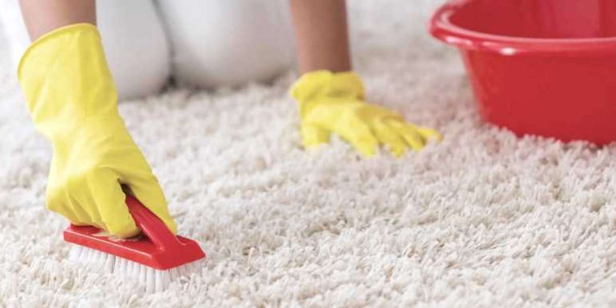 Comment rendre vos tapis étincelants de propreté avec notre guide de nettoyage de tapis ultime