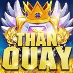 thanquay247 co Profile Picture
