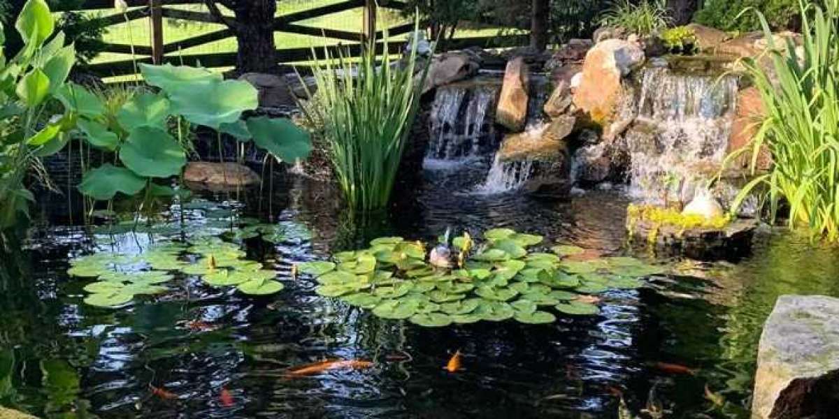Maximising Small Spaces: Creating a Pond and Garden Combo in Your San Diego Home