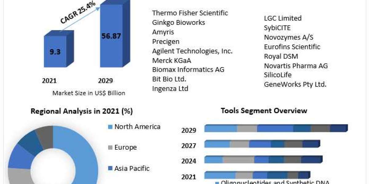 Synthetic Biology Market Share Leaders, Opportunities Assessment And Development Status