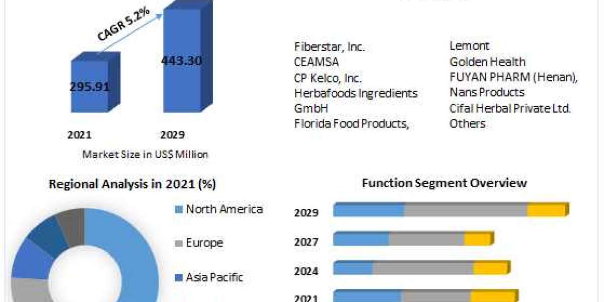 Citrus Fiber Market Industry Trends, Size,Growth, Segmentation, Future Demands, Latest Innovation