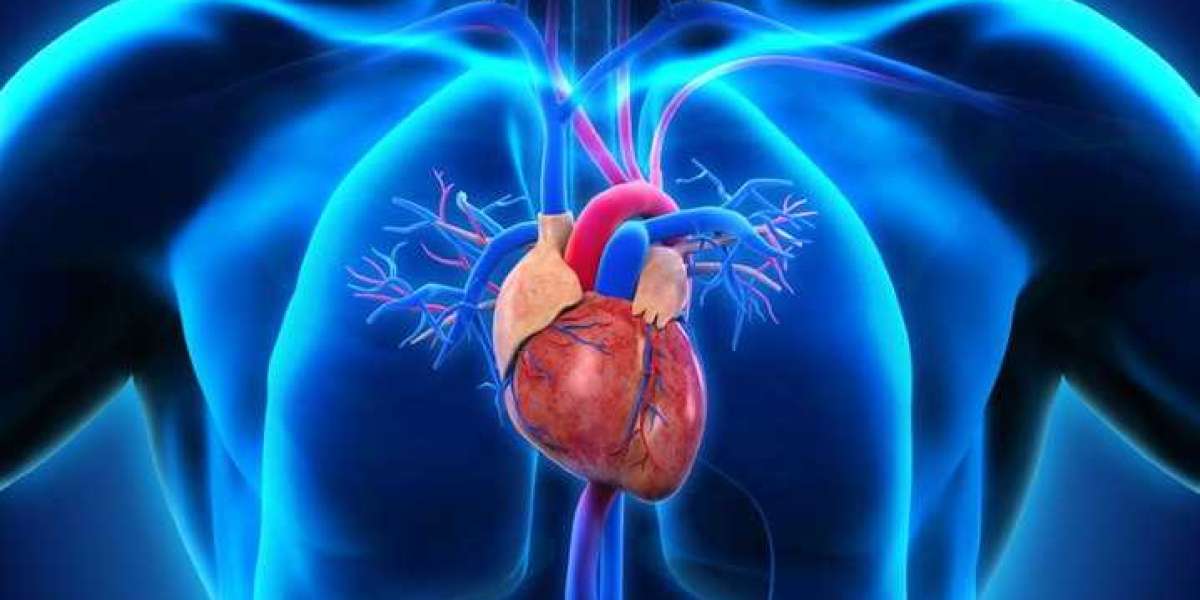 Cardiology Treatment in India: Affordable Options for International Patients