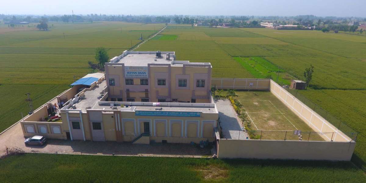 Best Nasha Mukti Kendra in punjab