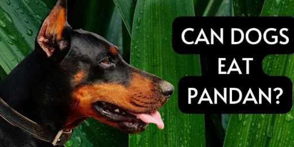 All You Need To Know About Can dogs eat Pandan?