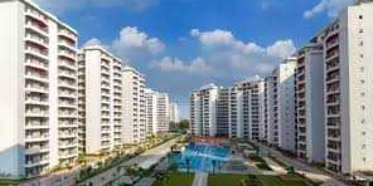 What is the most expensive plot in Gurgaon