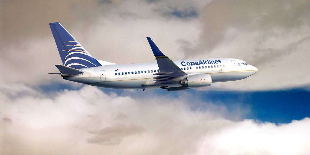 Copa Airlines baggage policy and allowance