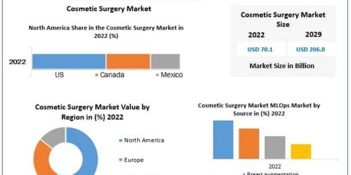 Cosmetic Surgery Market Key Stakeholders, Growth Opportunities, Value Chain