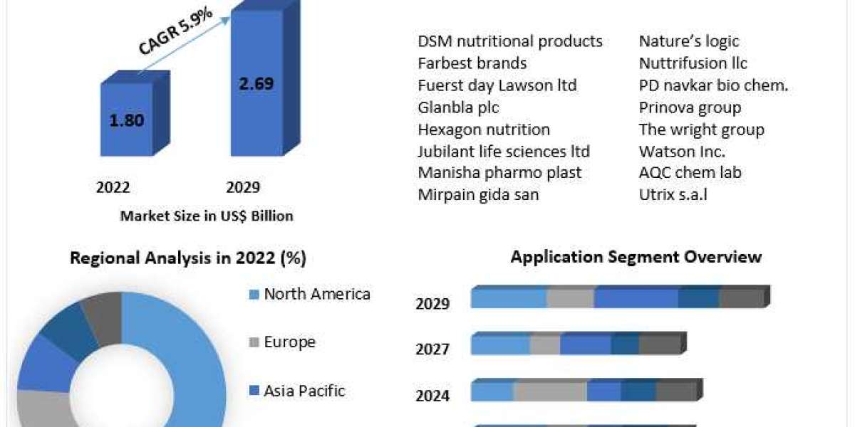 Driving Nutritional Fortification: Forecasting the Customize Premixes Market (2022-2029)