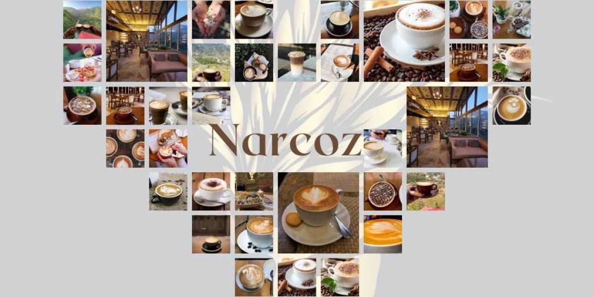 Narcoz Food Cartel: A Hidden Gem and the Best Cafe in Dehradun