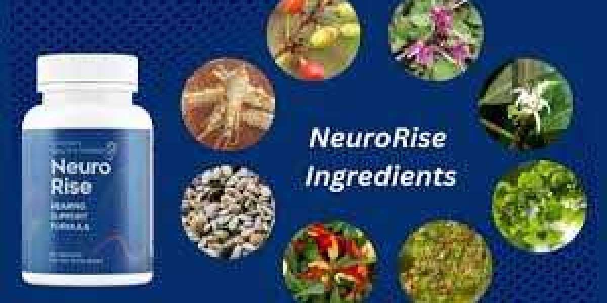 Neurorise Reviews: Enhancing Brain Power With The Latest Nootropic