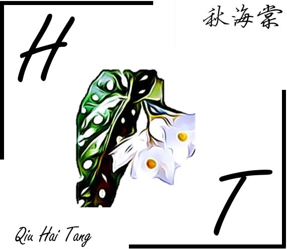 H.T Flower & Gifts - 秋海棠