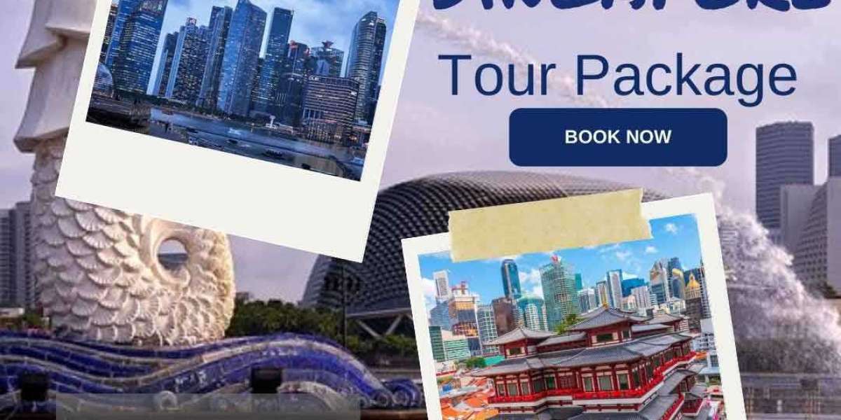 Discover the Best Singapore Tour Packages for an Unforgettable Experience