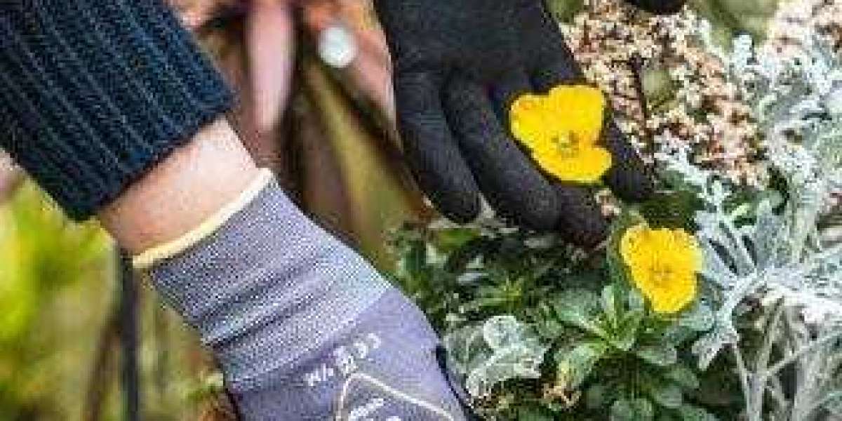 Best Gardening Gloves Guide