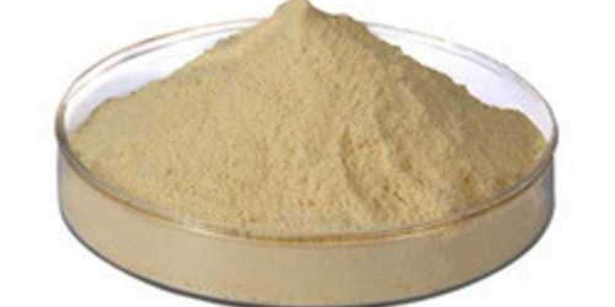 Fish Protein Hydrolysate Market Trends 2023 | Growth, Share, Size, Demand and Future Scope 2028