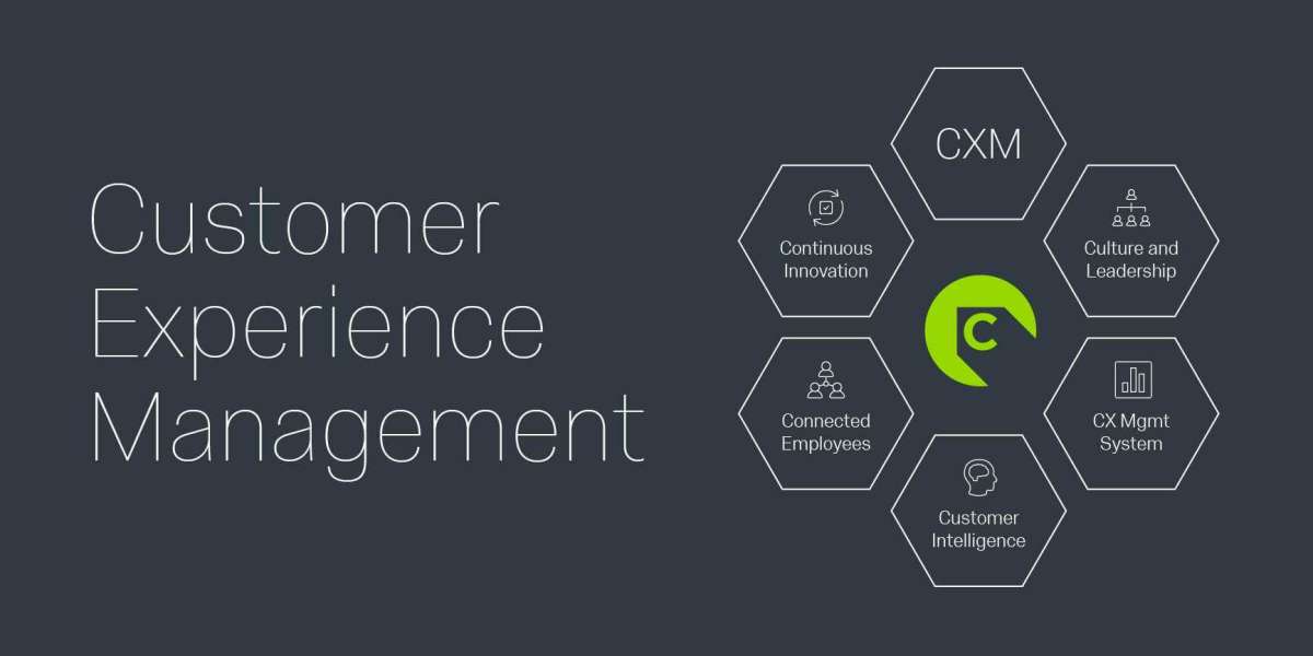 Customer Experience Management Market Demand, Share, Revenue, Trends And Drivers For 2030