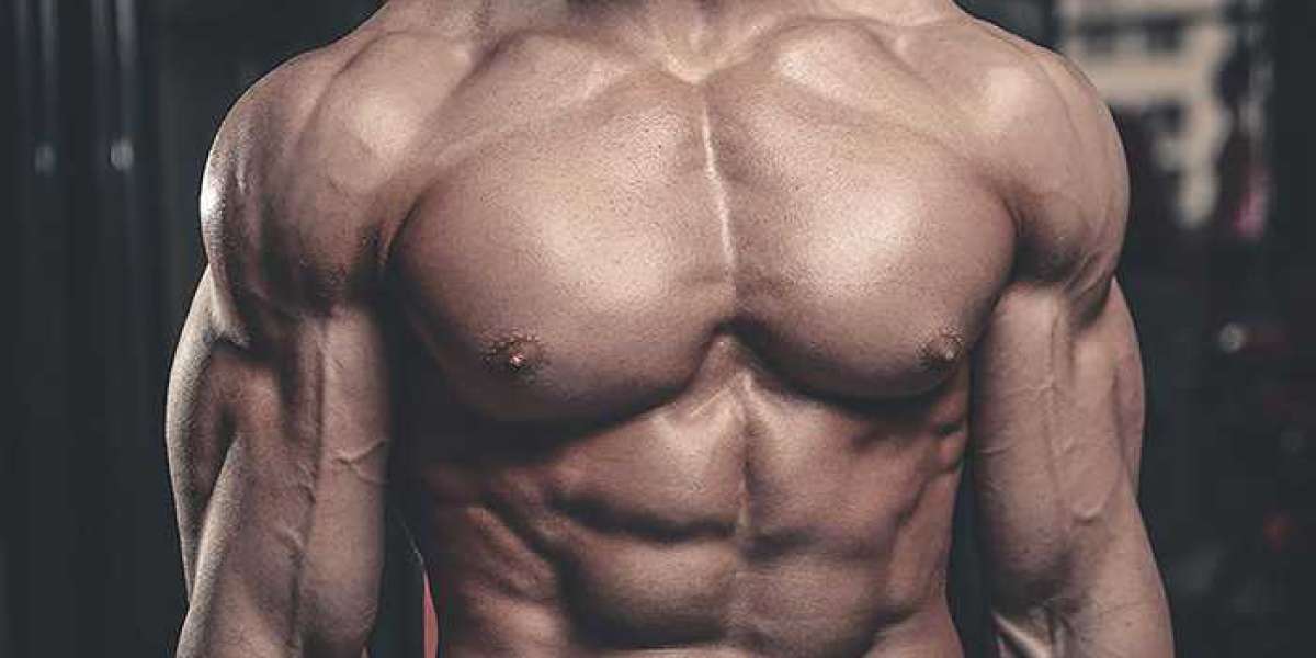 Chest Workout for Beginners: Build a Strong Upper Body