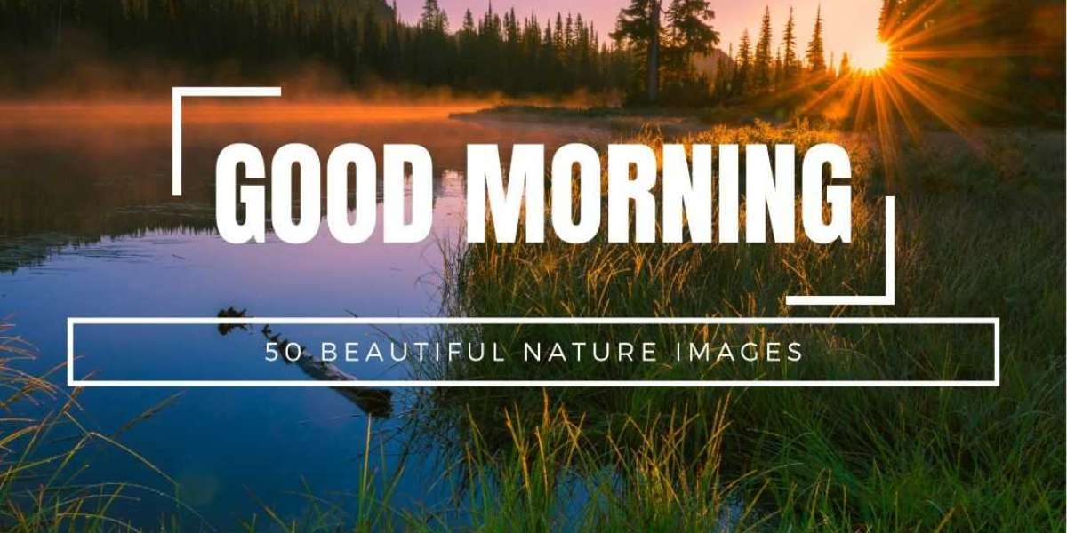 Start Your Day on a Positive Note with these Natural Good Morning Pictures