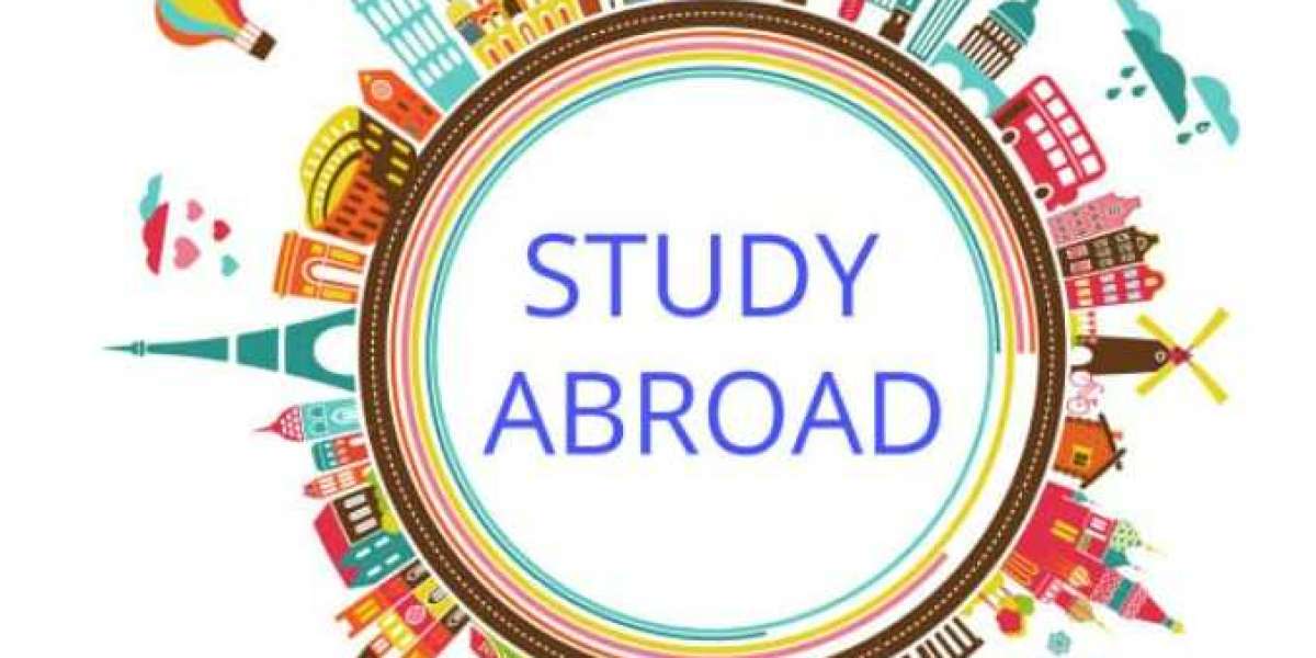 Switzerland Calling: Answer the Call of Global Education through Study Abroad!