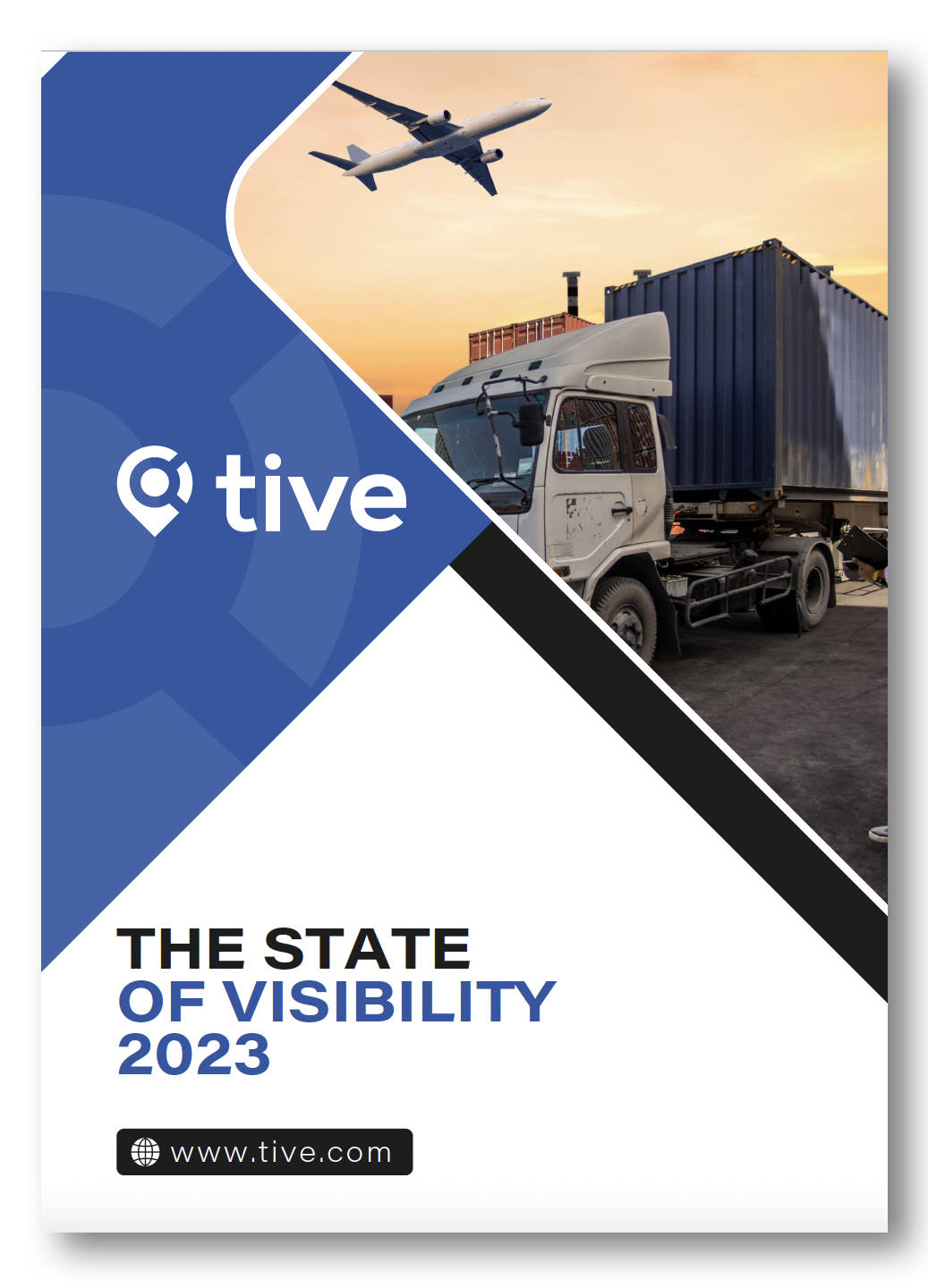 Supply Chain Visibility: 2023 Market Survey Report | Tive