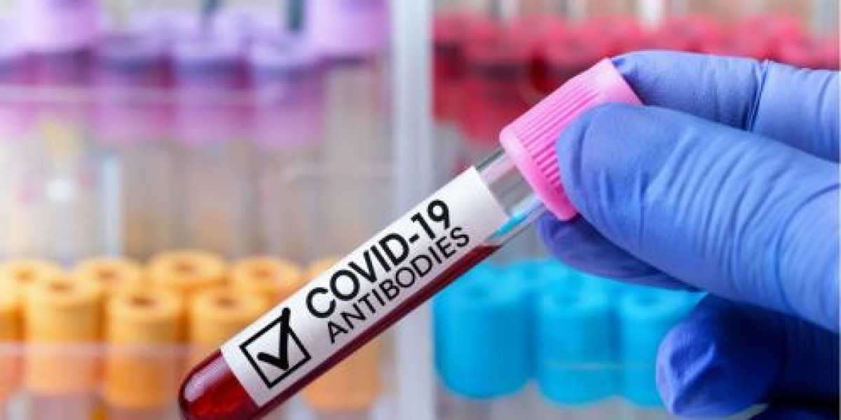Antibody Testing Cost