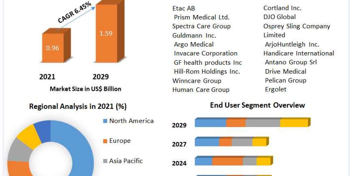 Medical Lifting Sling Market Trends, Share, Growth Rate, Type & Application, Key Players, Revenue, Major Regions, Ch