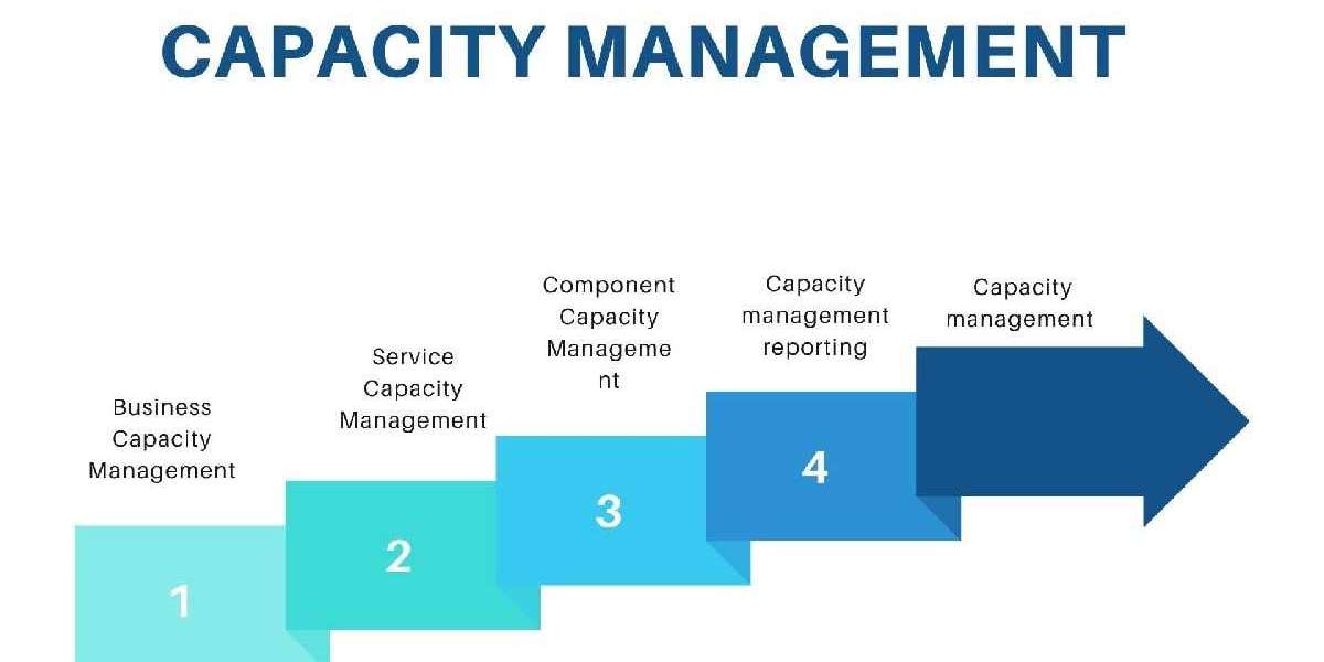 Capacity Management Market Geographical Segmentation and Opportunity Analysis to 2030