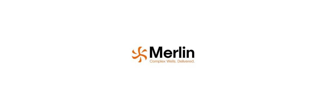 Merlin ERD limited Cover Image
