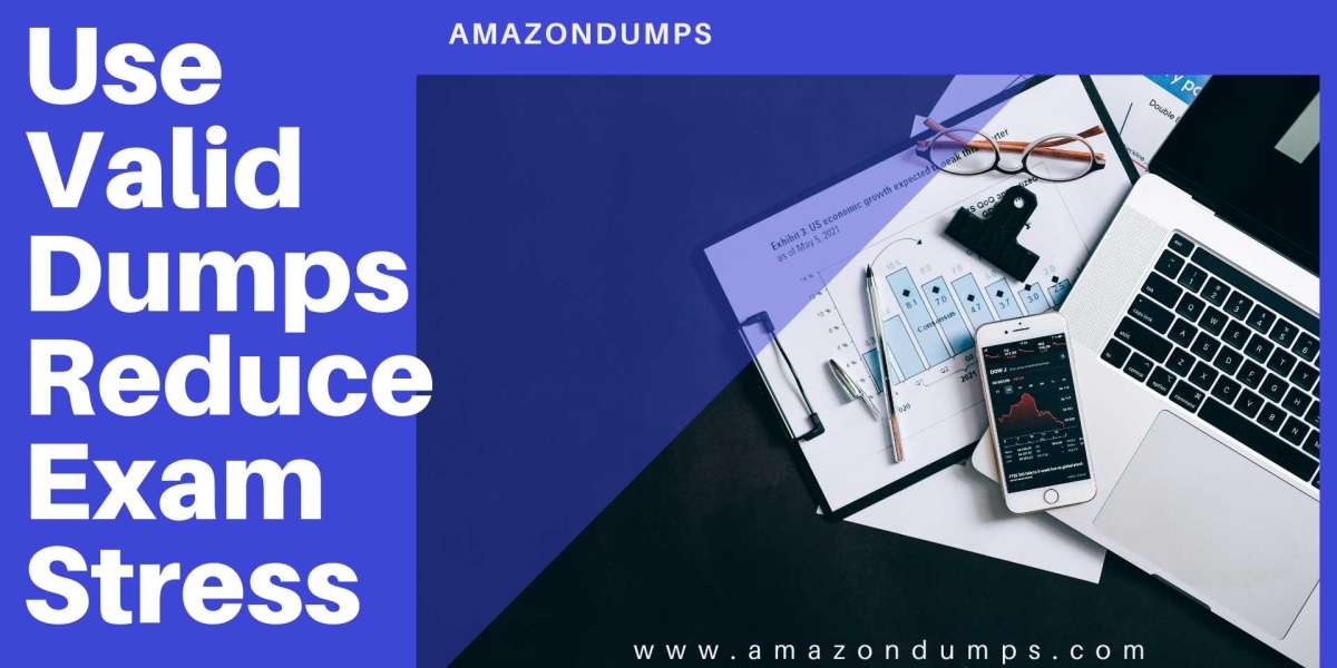 AWS Certification Made Easy: DVA-C02 Study Material from AmazonDumps