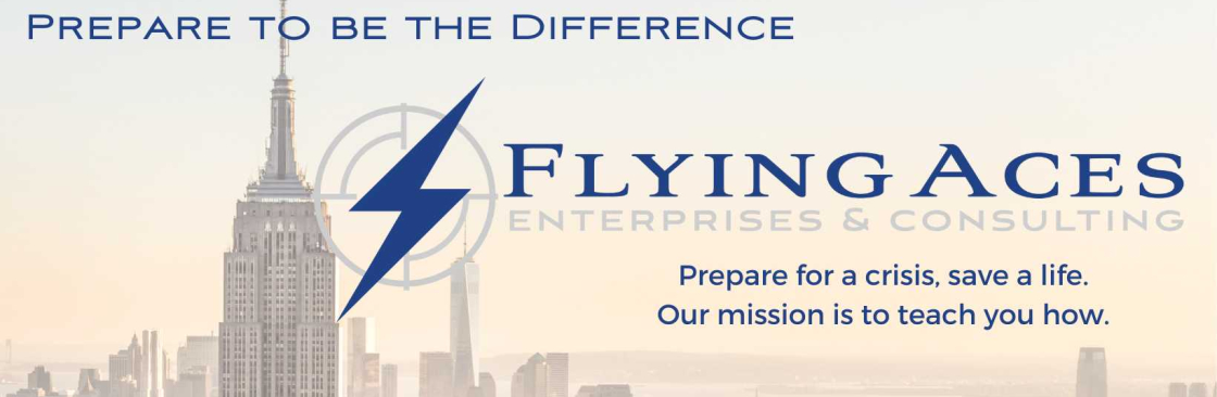 Flying Aces Consulting Cover Image