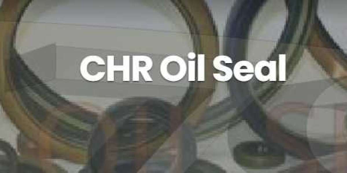 Unveiling the Efficiency: The Engineering Excellence of CHR Oil Seals