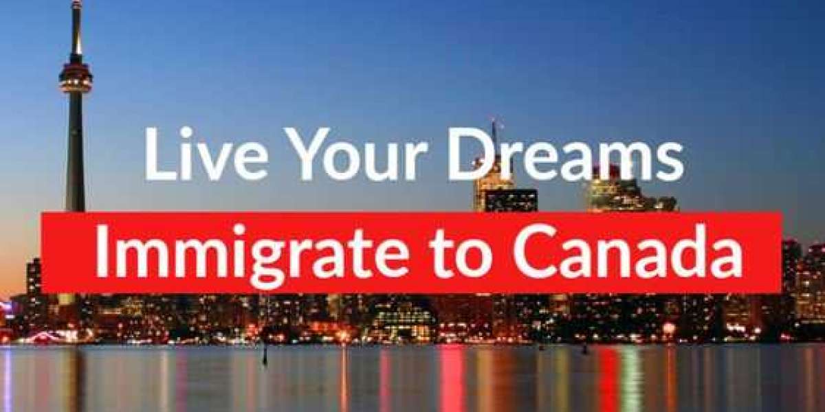 The Ultimate Guide to Choosing the Right Immigration Consultant in Pakistan
