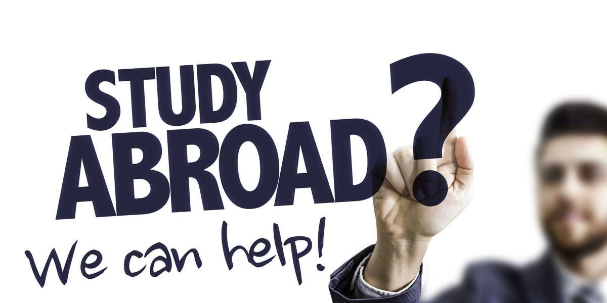 The Ultimate Guide to Studying Abroad: Tips and Insights