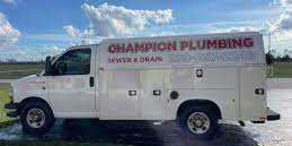 Are they licensed and insured to provide plumbing services in Cape Coral