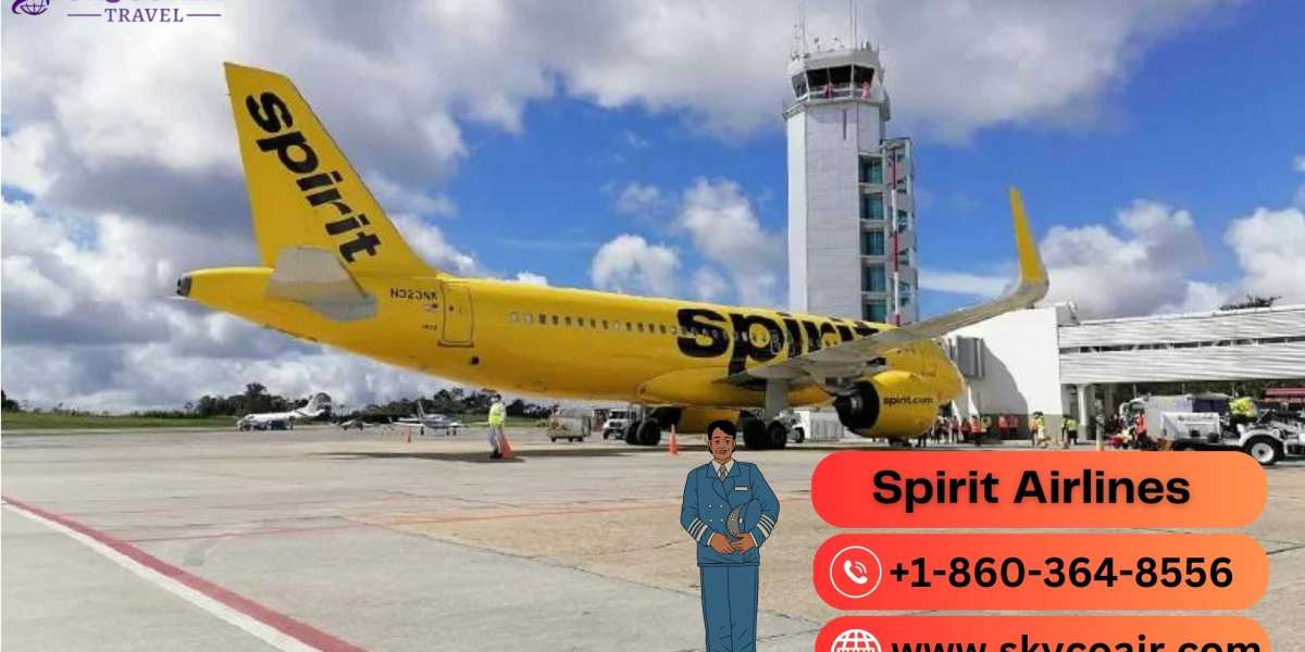 Spirit Airlines Reservations - Book A Flight?