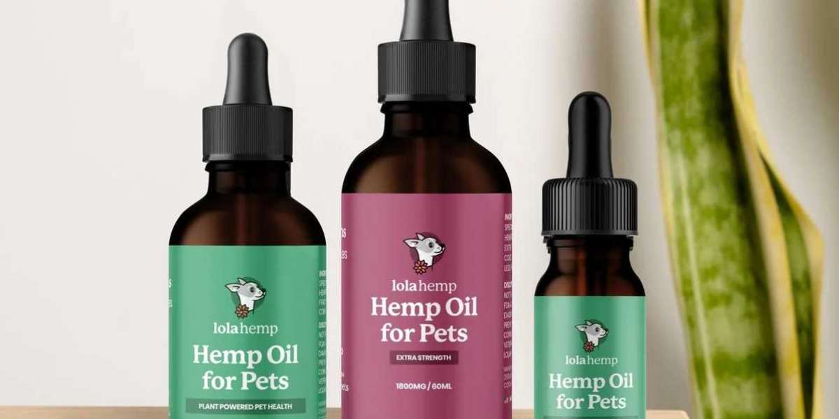 Pawsitive Effects: Unveiling the Best CBD Oil for Dogs