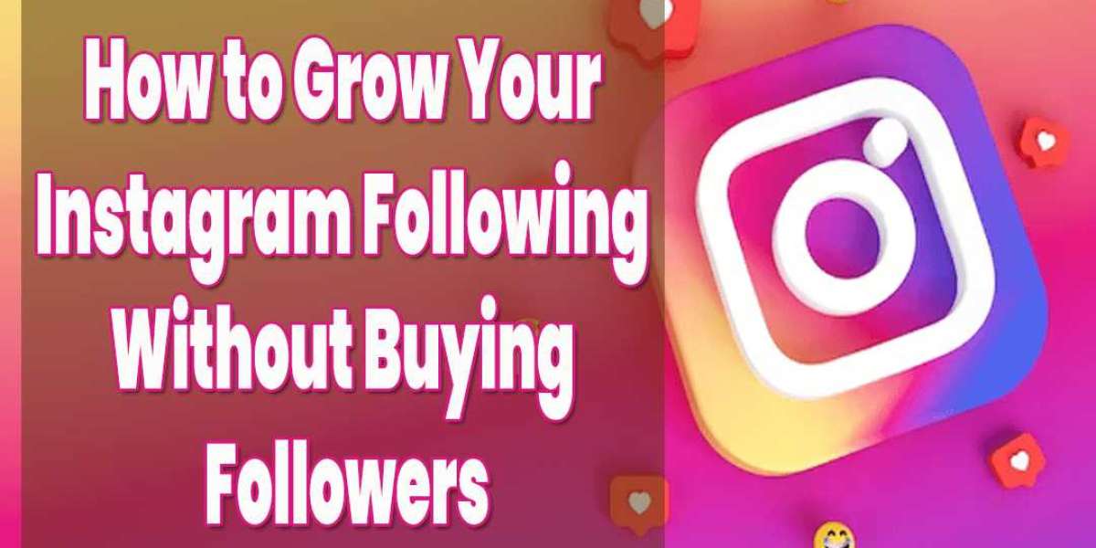 How to Grow Your Instagram Following Without Buying Followers